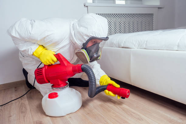 Best Real Estate Pest Inspections  in Summerside, OH